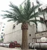 evergreen indoor home decoration large artificial date palm tree