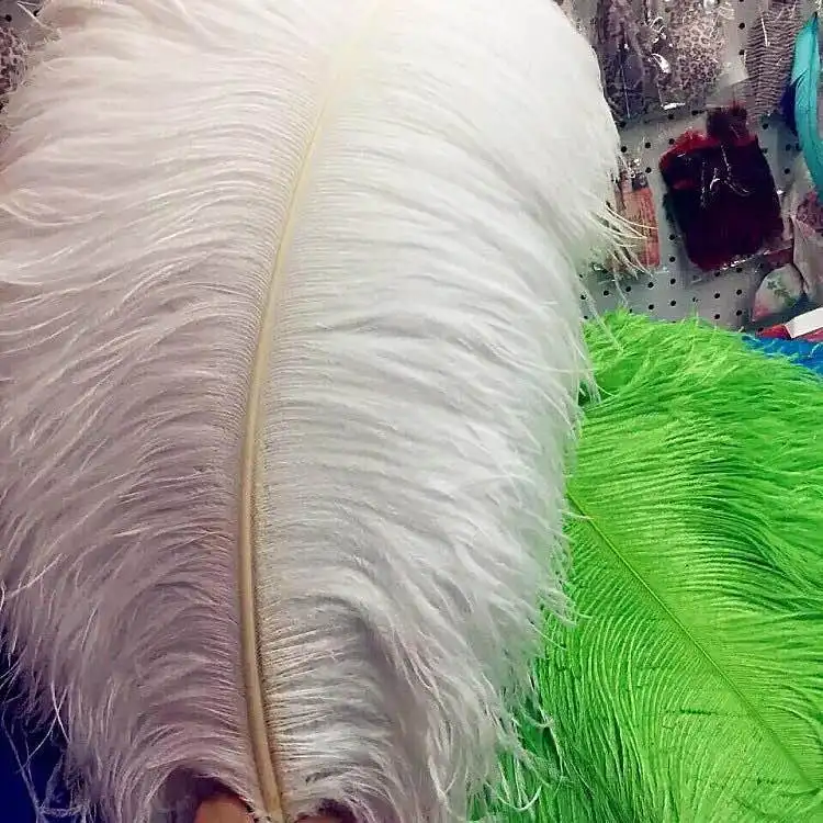 ostrich feathers online