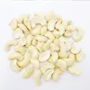 Wholesale Cashew for sale cashew nut kernel LBW Splits