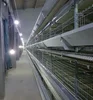 High Quality Broiler Battery Cage/Layer Chicken Battery Cage/Automatic Poultry Layer Cages System