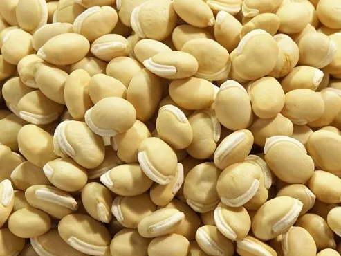 peru long bean manufacturers, peru long bean manufacturers