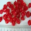 dried new crop pitted cherry