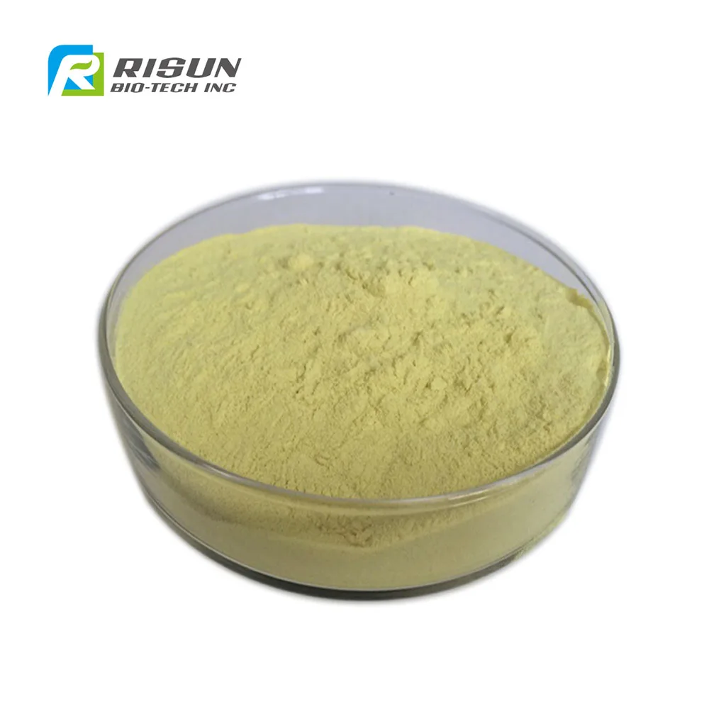 Free Sample Bulk Yeast Extract/food Grade Yeast Extract/bakers Yeast