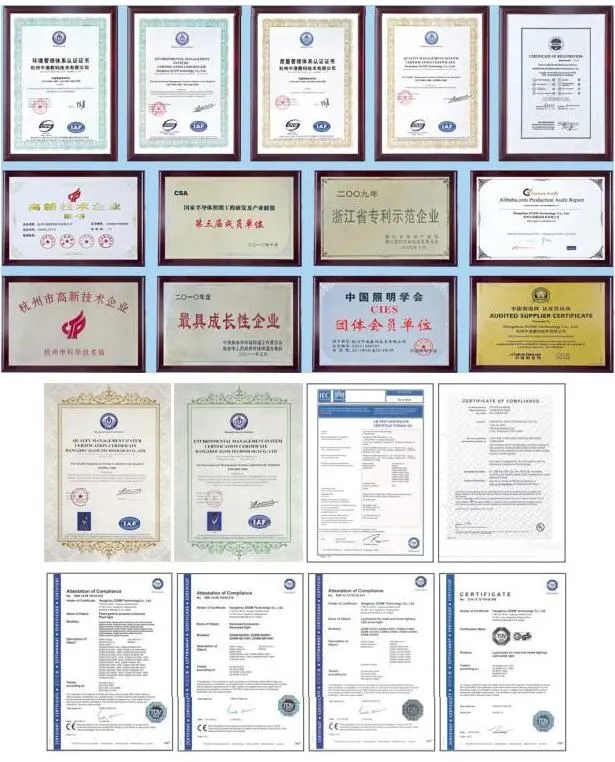 certification.jpg