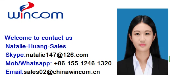 Cheap YX280B Electric or LPG Heated Portable Autoclave Sterilization China