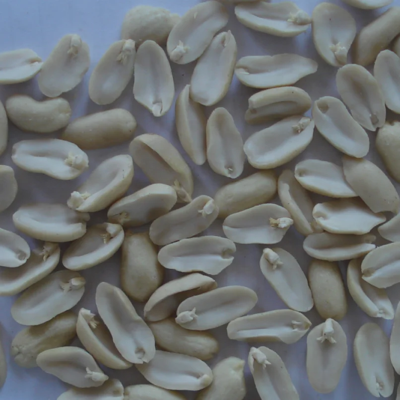 raw peanuts kernel Top quality 100% natural raw  white skin skinless peanut