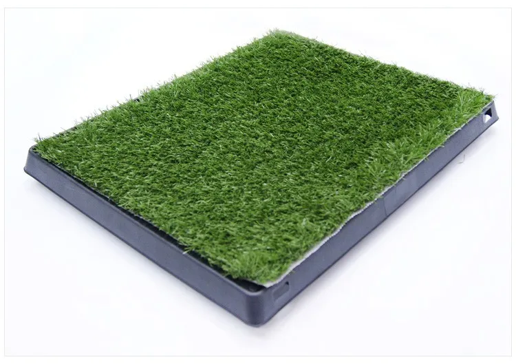 dog pee pad.jpg