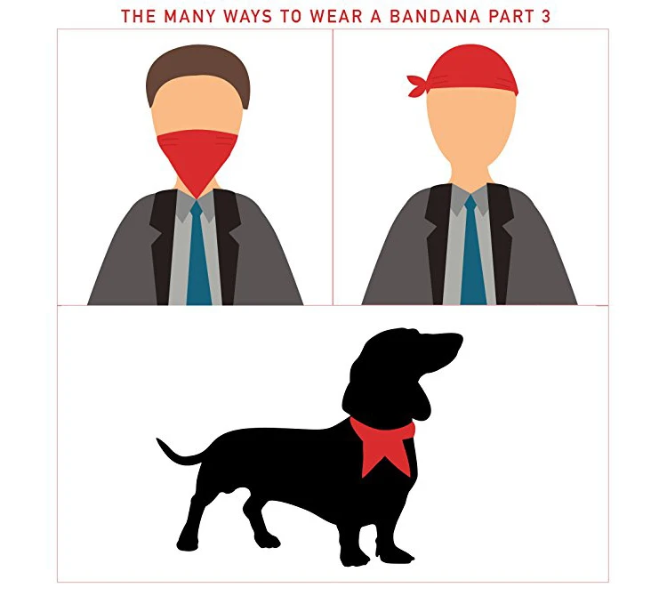 BANDANA-4