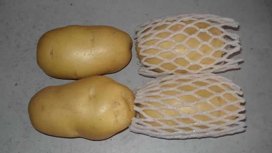 potato9.jpg