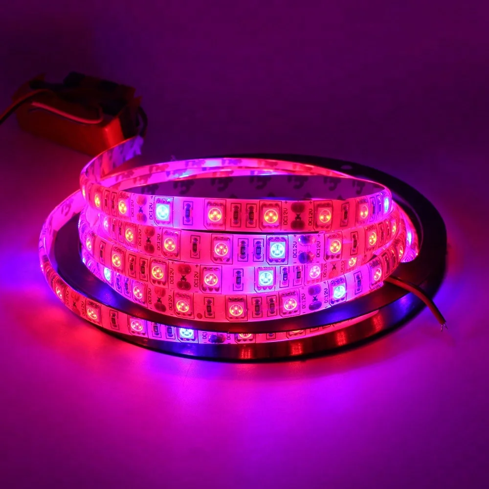 Amazon Hot Sales Plant LED Grow Light Strip for Greenhouse Hydroponics Indoor Plant