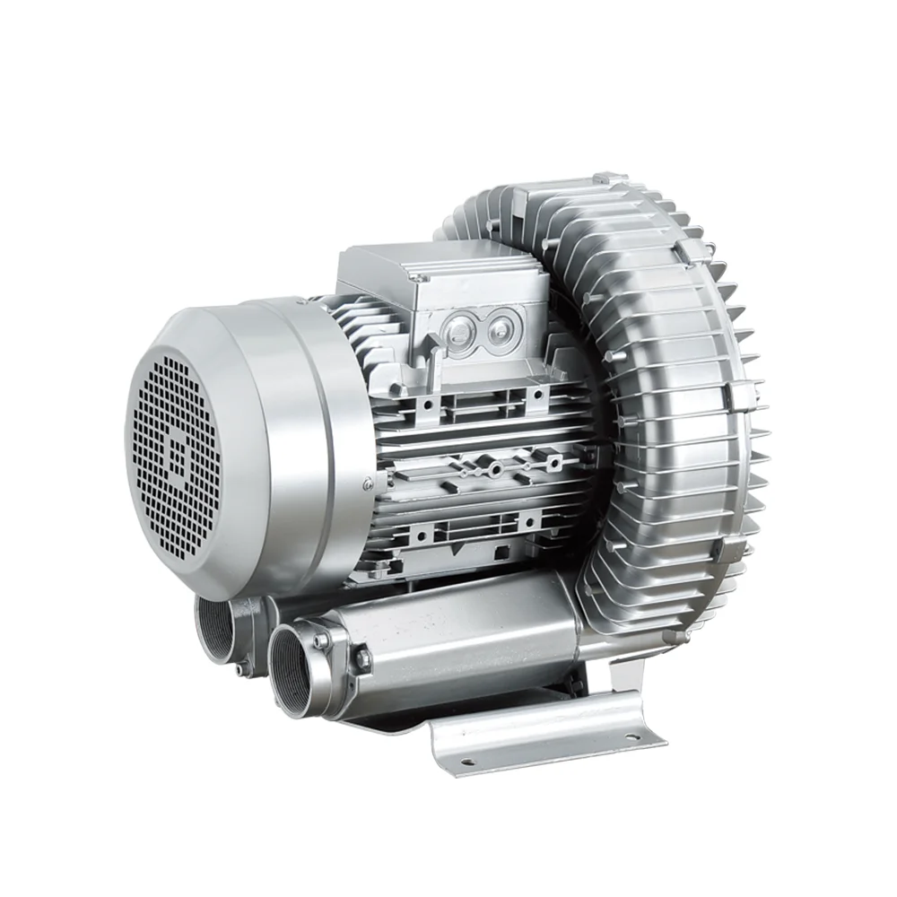 220v vortex air pump