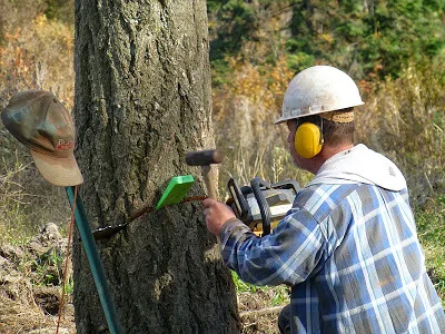 762c916a2922dc9f8f37045cd071a98b5863b7f6