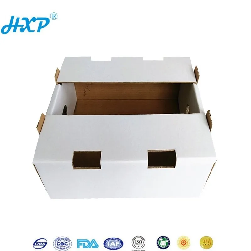 Corrugated Food Carton Tube Catering Boxes For Shipping Wholesale Boxes