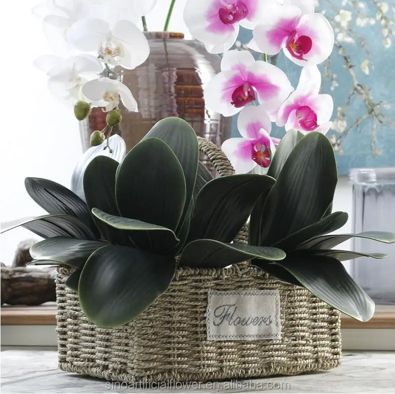 Lifelike Artificial Orchid Leaves For Phalaenopsis With Fibrous Roots