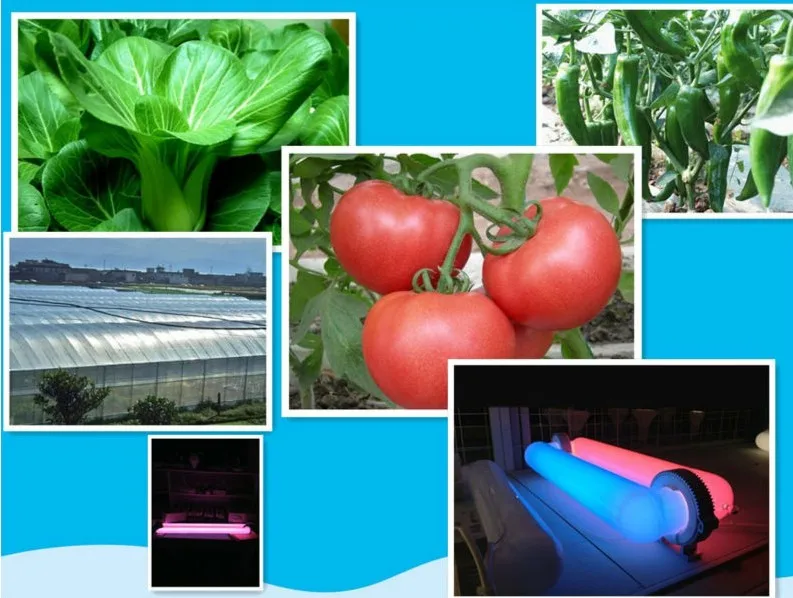 induction lamp for plant growing4.jpg