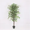 China hot sale cheap artificial plants white edge artificial small banyan tree for indoor decoration