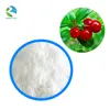 Wholesale low prices natural 100% pure alpha arbutin powder