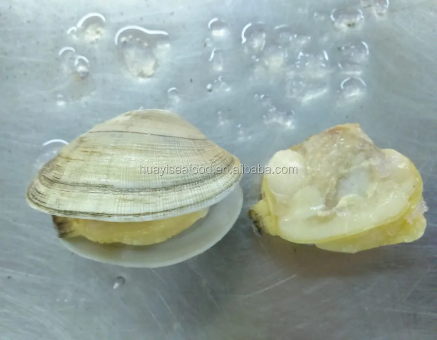 Frozen Delicious Baby Clams With Shell Top Quality Low Price Buy