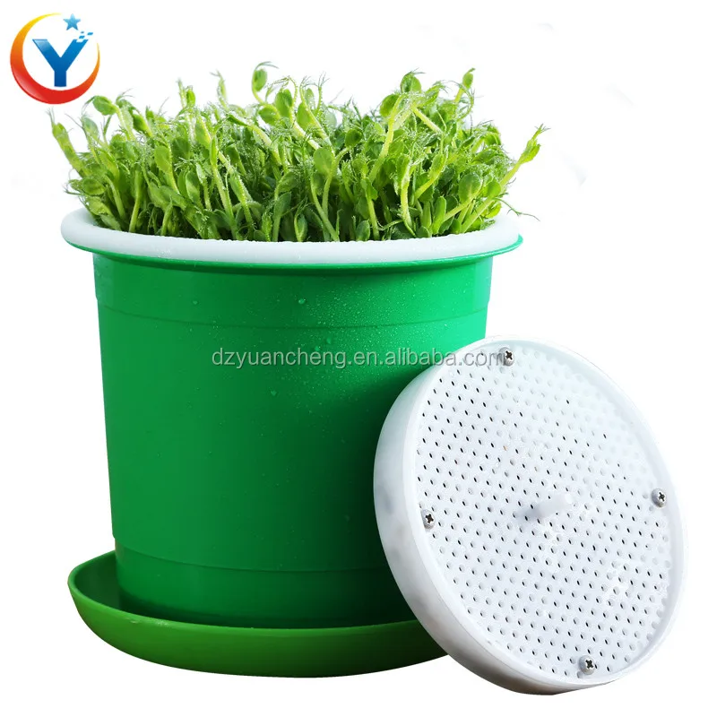 Household Seed Germination Machine / Plastic Bean Sprout Maker Buy
