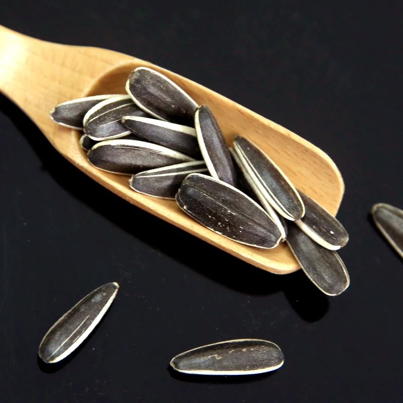 High Quality Chinese Sunflower Seeds 5009 Buy Sunflower Seeds