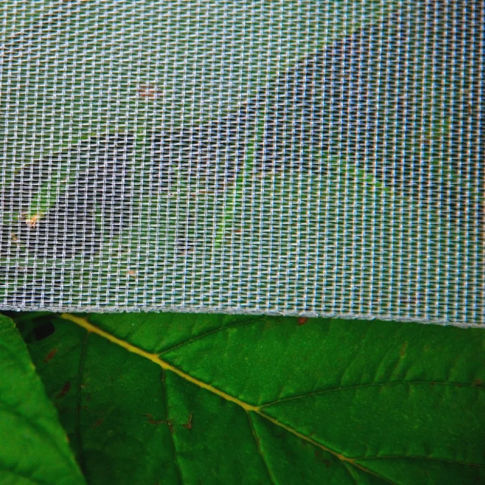 Insect Proof Net For Vegetable Greenhouse Buy Greenhouse Insect Net