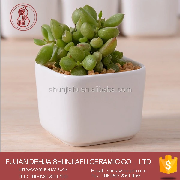 office flower pots. office desk flower pots suppliers and manufacturers at alibabacom s