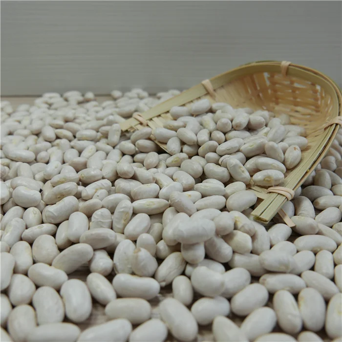 New white kidney bean in 2020 season for food