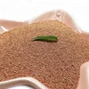 China supplier supply copper powder spherical copper 99999