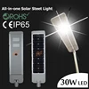30W LED All-in-one solar street light with infrared sensor brightness sub-regulation 60W solar panel 24AH battery