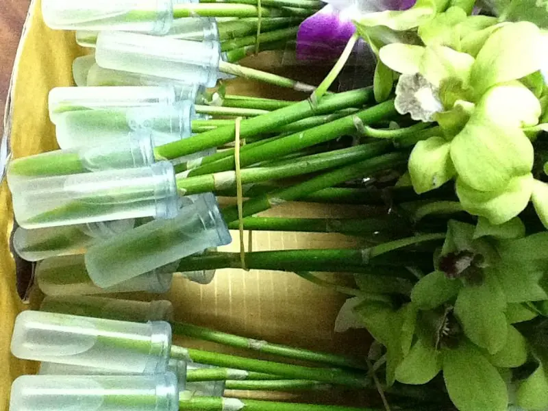 High Quality No Leak Plastic Water Tube For Fresh Cut Flower Buy