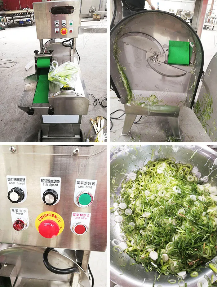 2019 Hot Selling Large Type Vegetable Cutting Machine