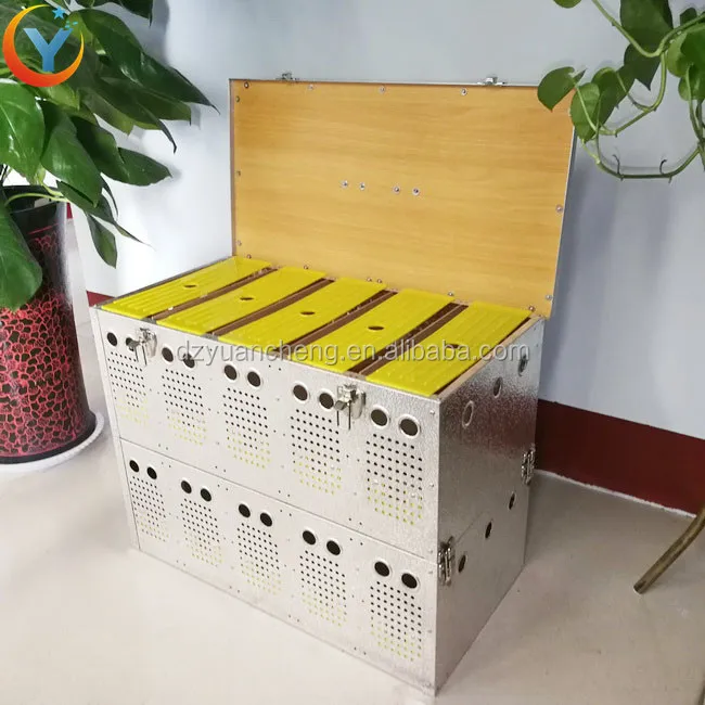 High Quality 10 Hole Racing Pigeon Breeding Cage For Sale In