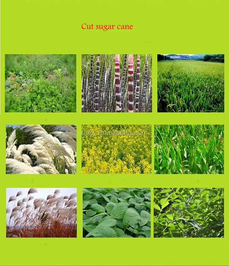 Knapsack Sidemount Fourstroke Grass Cutter Price Grass Cutter For Sri