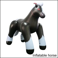 horse.jpg