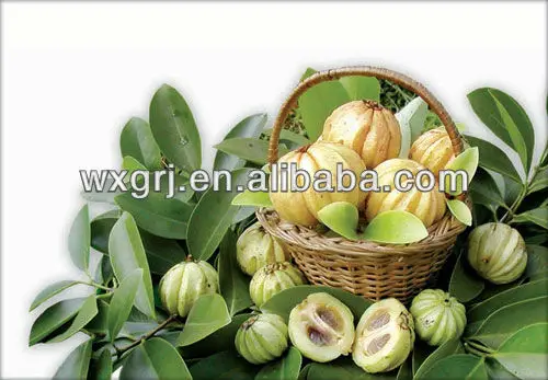 garcinia_cambogia.jpg