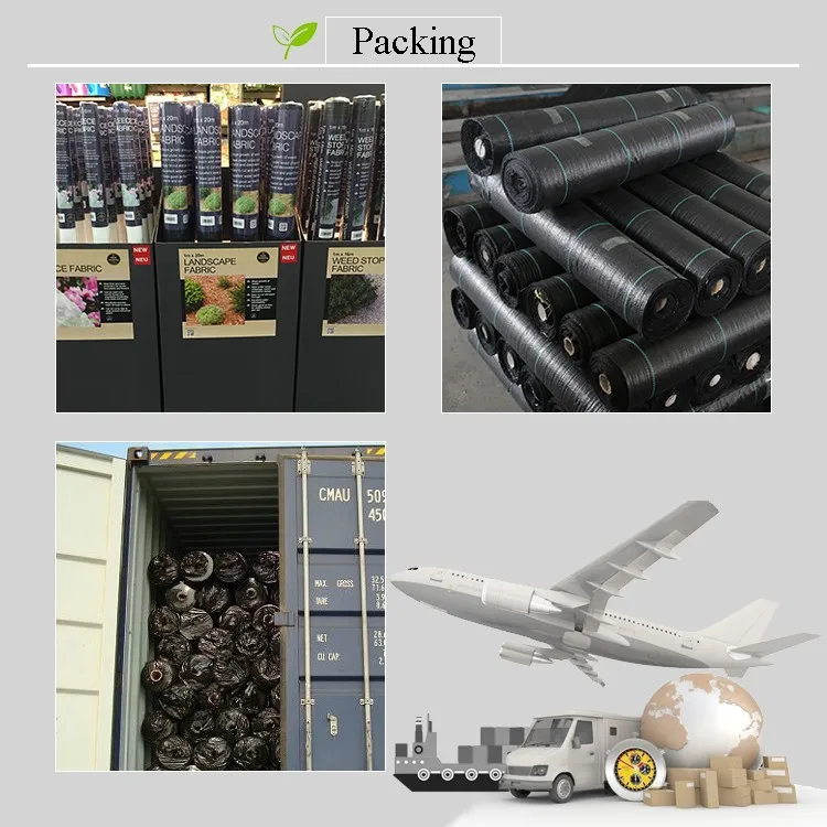 PP spounbond agriculture weed cover non woven fabric for fruit plant