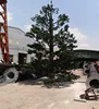 Camouflaged steel Magnolia communication Cell tree towers