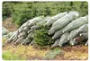 Extruded Christmas Tree Netting for Packing Trees