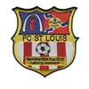 Embroidery Sports Team Logo/Sticky Patches for Clothes/Fashion Patches for Clothes
