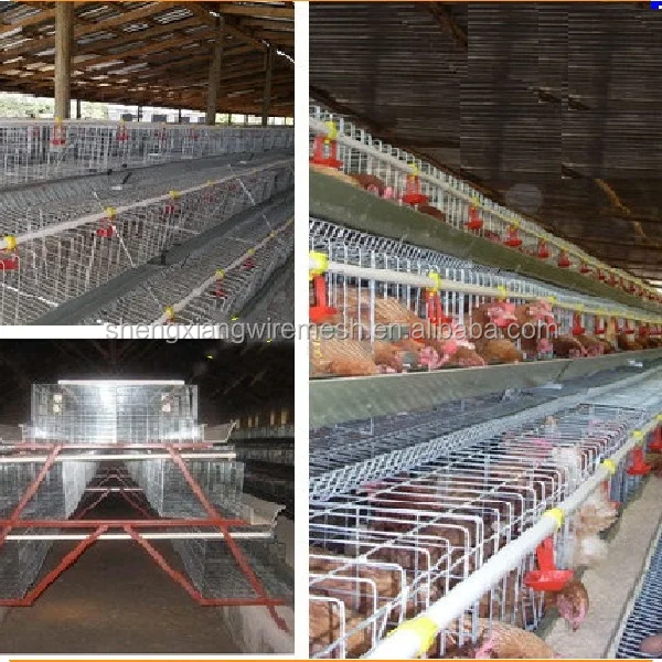 3 Layers Poultry Cages /chicken Cage /layer Cage Hot Galvanized 20