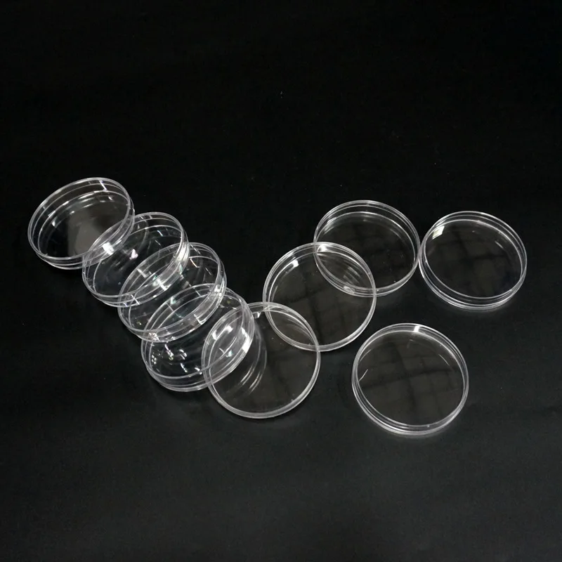 petri dishes5.jpg