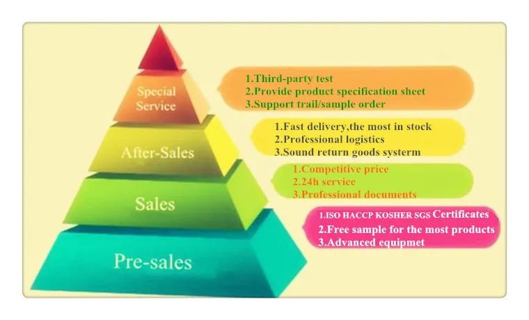 jinzita tonking_0110.jpg