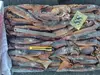 frozen illex argentinus squid types of seafood