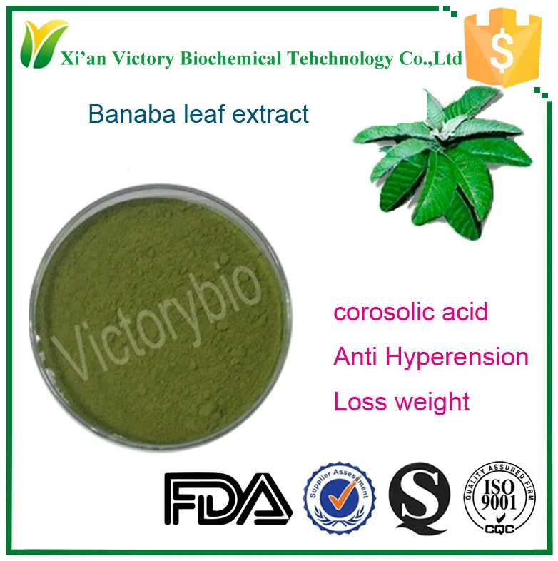 Banaba Leaf Extract Weight Loss