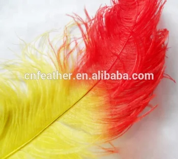 ostrich feather manufacturing company