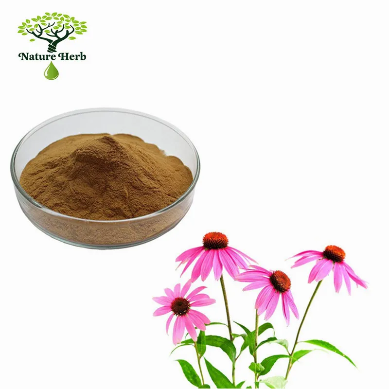 Water Soluble Herbal Extract Echinacea Purpurea Powder Buy Extract