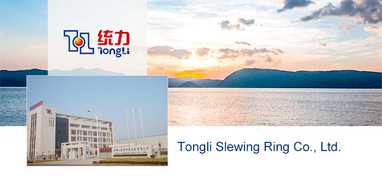 Slew Ring Manufacturer For Shipboard Cranes