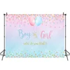 Boy or Girl Gender Reveal Background Blue or Pink Gender Reveal Photography Backdrop