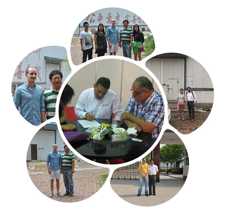 clinched edge honeycomb conveyor belt