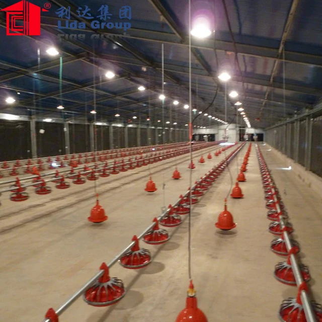 commercial steel frame structure broiler chicken house 122*15.36*3m